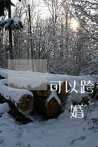 可以跨省辦理離婚證嗎(離婚證可以在外省辦離婚證嗎)