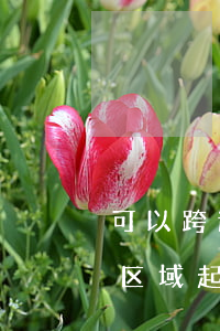 可以跨过基层法院向中院起诉吗(法院可以跨区域起诉吗)