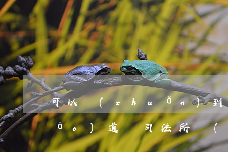 可以轉(zhuǎn)到外地司法所報(bào)道嗎(司法所報(bào)到可以轉(zhuǎn)異地嗎)