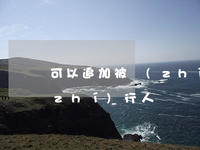 可以追加被執(zhí)行人配偶為被執(zhí)行人嗎
