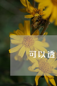 可以透支信用卡還款嗎(信用卡透支怎樣還款)