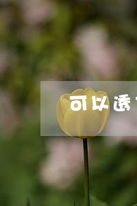 可以透支兩萬的信用卡(信用卡透支五萬)