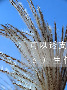 可以透支的學(xué)生信用卡(學(xué)生信用卡可以透支嗎)