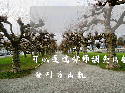 可以通过律师调查出轨吗(是否可以请律师调查对方出轨)