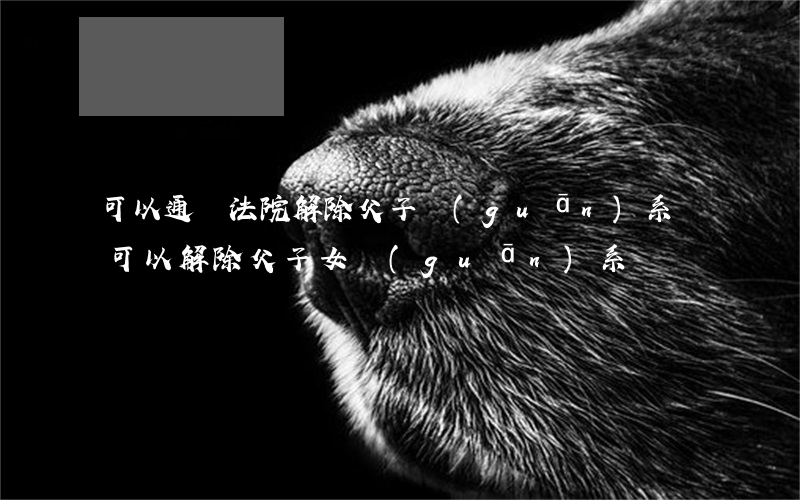 可以通過法院解除父子關(guān)系嗎(可以解除父子女關(guān)系嗎?)