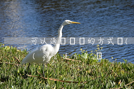 可以通過遺囑的方式設(shè)立居住權(quán)嗎