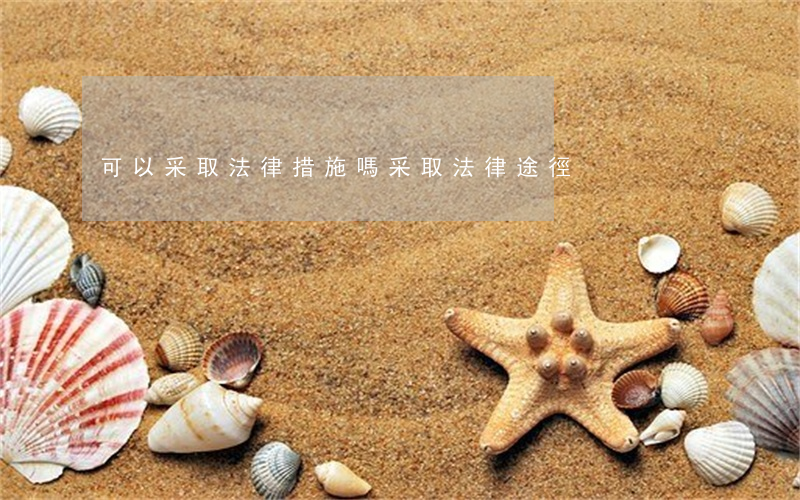 可以采取法律措施嗎(采取法律途徑)