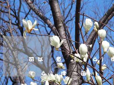 可以隨意發(fā)律師函嗎(可以隨便發(fā)律師函嗎)