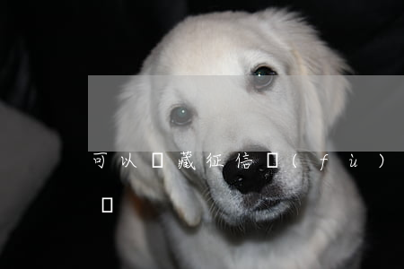 可以隱藏征信負(fù)債嗎-征信能隱藏嗎