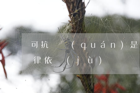 可抗辯權(quán)是什么意思,有什么法律依據(jù)