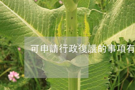 可申請行政復議的事項有哪些