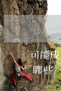 可能成為實(shí)物證據(jù)的有哪些