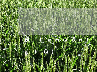 可轉(zhuǎn)換公司債券屬于金融負(fù)債嗎