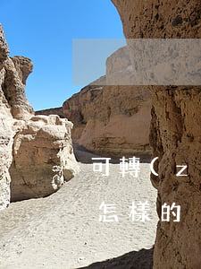 可轉(zhuǎn)換公司債券條款分析是怎樣的