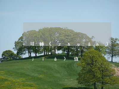 可轉(zhuǎn)換公司債券的投資價(jià)值