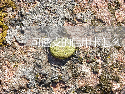 可透支的信用卡怎么辦理(信用卡如何透支)