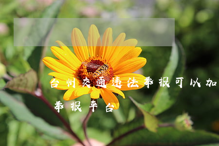 台州交通违法举报可以加分吗(台州交通违法举报平台)