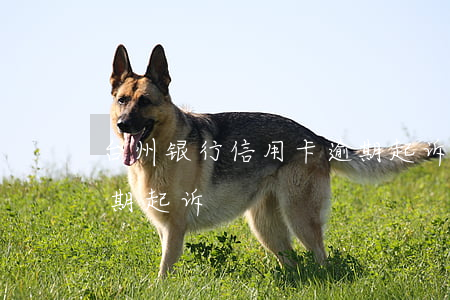 台州银行信用卡逾期起诉(台州银行信用卡逾期起诉)