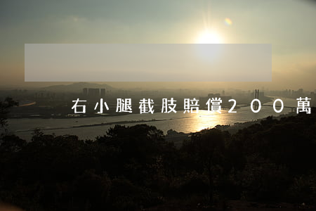 右小腿截肢賠償200萬的案例