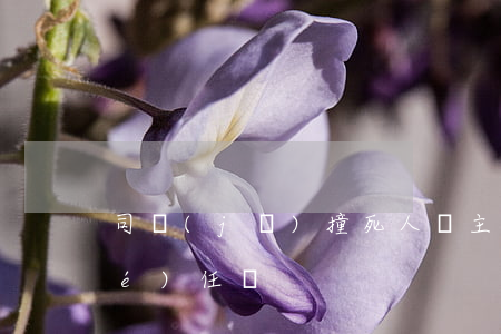 司機(jī)撞死人車主負(fù)責(zé)任嗎