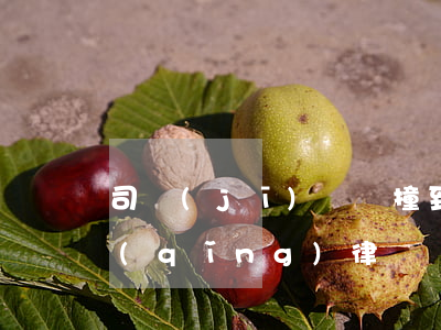 司機(jī)開車撞到人全責(zé)要請(qǐng)律師嗎(汽車撞人司機(jī)全責(zé)怎么處理)