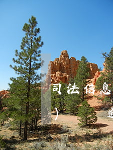 司法信息技術(shù)可以考公務(wù)員嗎(通過司法考試是不是公務(wù)員可以報(bào)名法院)