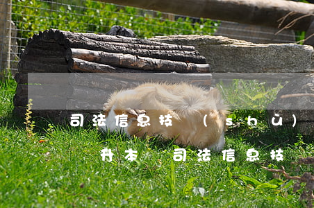 司法信息技術(shù)專業(yè)可以專升本嗎(司法信息技術(shù)專升本可以報(bào)哪些專業(yè))