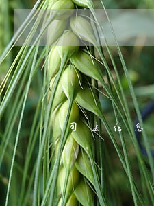 司法信息網(官渡法院司法信息網)