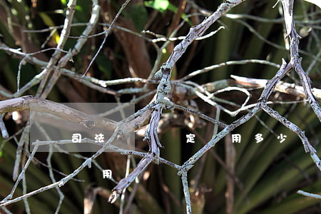 司法傷殘鑒定費用多少錢(法院傷殘鑒定多少費用)