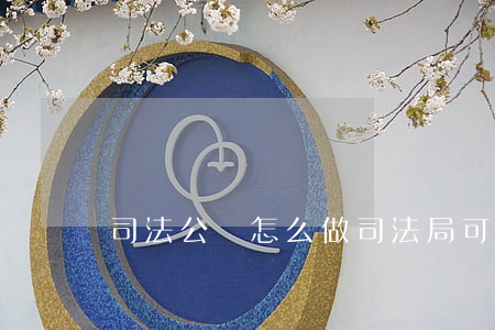 司法公證怎么做(司法局可以做公證嗎)