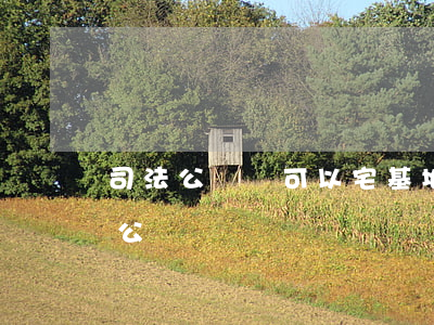 司法公證處可以宅基地公證嗎(土地證可以做公證嗎)