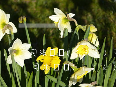 司法凍結(jié)可以協(xié)商嗎(司法凍結(jié)是起訴了嗎)