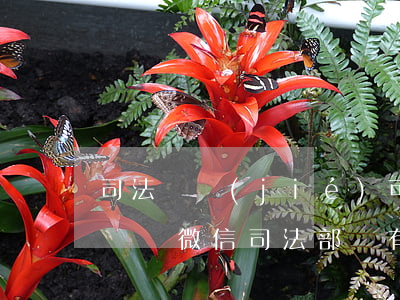 司法凍結(jié)可以協(xié)商解凍嗎微信(司法部門有權(quán)凍結(jié)微信嗎)