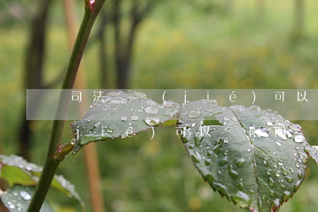 司法凍結(jié)可以永久嗎(司法凍結(jié)可以無限期嗎)