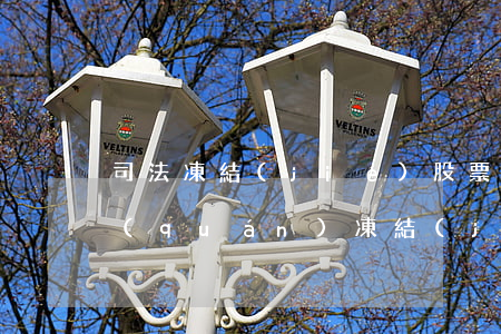 司法凍結(jié)股票后可以拍賣嗎(股權(quán)凍結(jié)后司法拍賣流程)
