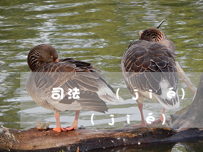司法凍結(jié)賬戶可以用嗎(司法部門凍結(jié)賬戶,多久可以解凍)