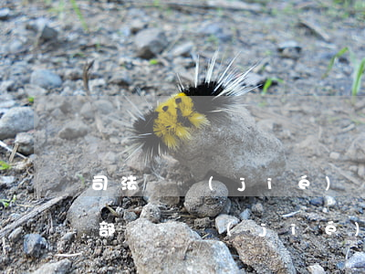 司法凍結(jié)賬號還可以登錄嗎(司法部門凍結(jié)賬戶,多久可以解凍)