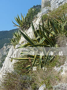 司法凍結(jié)銀行卡后還可以辦卡嗎(銀行卡被司法凍結(jié)了拿銀行卡去能不能解凍)