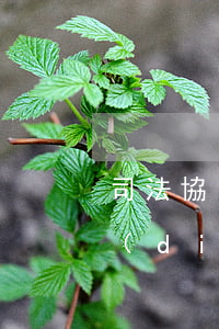 司法協(xié)議可以上訴嗎(簽了人民調(diào)解協(xié)議書(shū)就不能上訴了嗎)