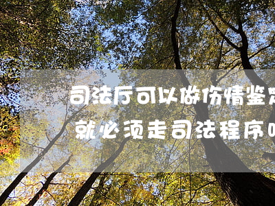 司法厅可以做伤情鉴定吗(只要做了伤情鉴定就必须走司法程序吗)