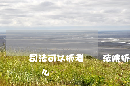司法可以抓老賴嗎(法院抓個(gè)老賴有這么難嗎)