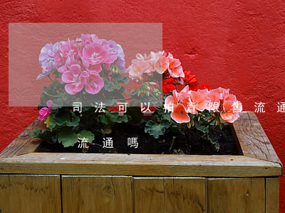 司法可以拍賣限售流通股嗎(拍賣的股票可以流通嗎)