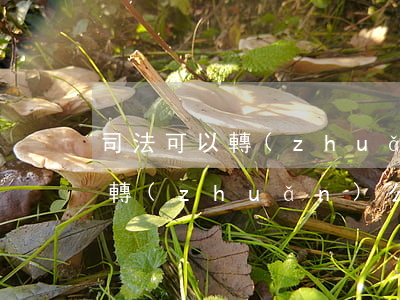 司法可以轉(zhuǎn)警察嗎(法警可以轉(zhuǎn)公安系統(tǒng)嗎)