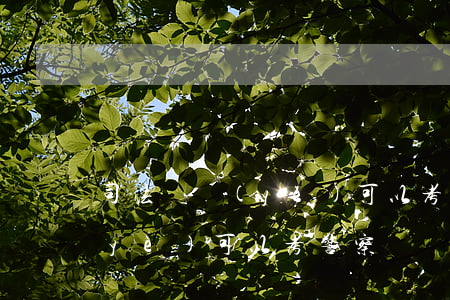 司法專業(yè)可以考警察嗎(什么專業(yè)可以考警察)