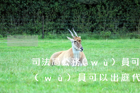 司法局公務(wù)員可以代理訴訟嗎(公務(wù)員可以出庭代理案件嗎)