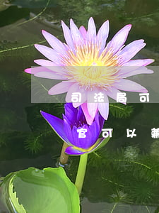 司法局可以聘請(qǐng)法律顧問嗎(法官可以兼職法律顧問嗎)