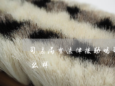 司法局有法律援助吗(司法局法律援助中心怎么样)