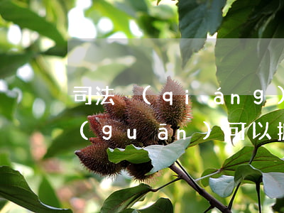 司法強(qiáng)拆公安機(jī)關(guān)可以抓人嗎(司法警察可以抓人嗎)