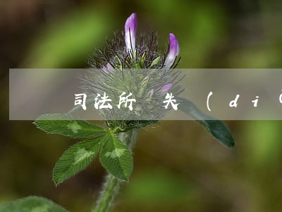 司法所丟失調(diào)解證明怎么辦
