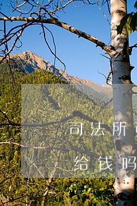 司法所可以帮助讨要工资吗(司法所的律师要给钱吗)